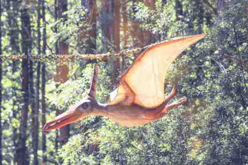 A pterosaur model hangs in a forest, showcasing its large wings and distinctive beak against a backdrop of trees.