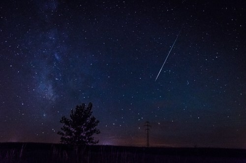 A starry night sky with a bright meteor streaking across, silhouetted by a tree and power lines in the foreground.