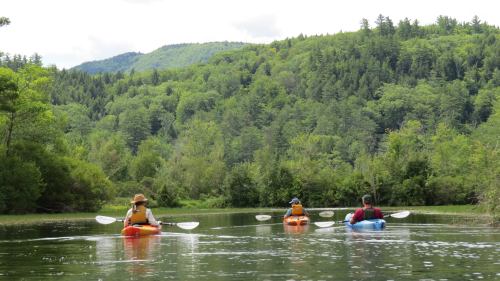Three people kayaking on a calm lake surrounded by lush green trees and mountains in the background.