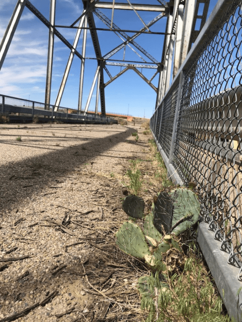 A cactus grows alongside a gravel path beneath a metal structure, with blue skies in the background.