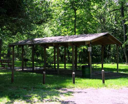 A shaded picnic shelter in a lush green park, surrounded by trees and picnic tables.