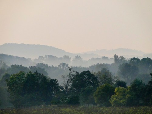 A misty landscape with layered hills and trees, creating a serene, atmospheric view.