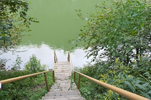 A wooden staircase leads down to a greenish body of water, surrounded by lush greenery and plants.
