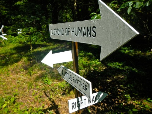 Signposts in a forest directing towards "A Crowd of Humans," "A Little Farther," and "Right Way."
