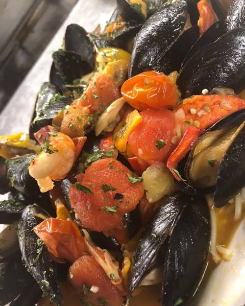 A close-up of a seafood dish featuring mussels, shrimp, tomatoes, and herbs in a savory sauce.