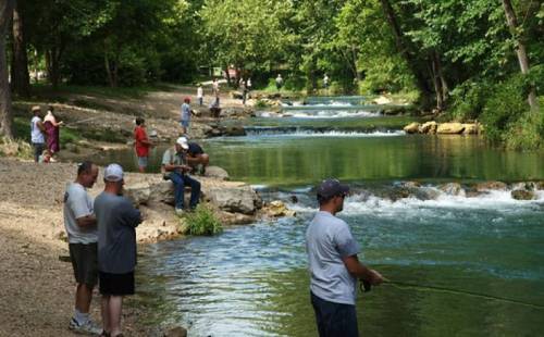 People fishing along a serene riverbank surrounded by lush greenery and gentle flowing water.