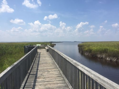A wooden boardwalk leads to a calm waterway surrounded by tall grasses under a blue sky with fluffy clouds.