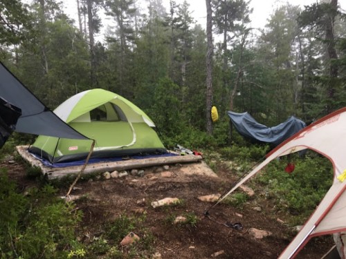 A green tent set up in a forest clearing, surrounded by trees and a blue tarp hanging nearby.