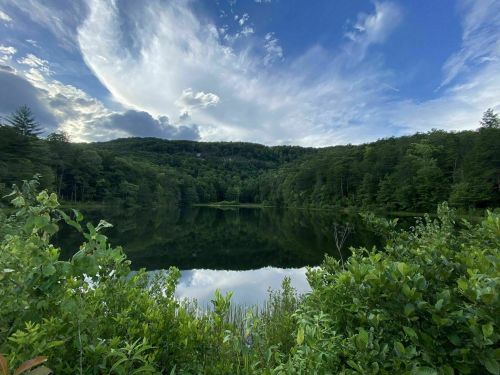 A serene lake surrounded by lush greenery and trees, reflecting a blue sky with clouds.