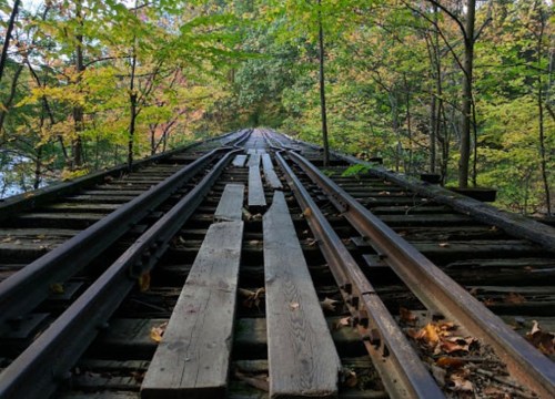A view of weathered wooden train tracks stretching into a forest, surrounded by vibrant autumn foliage.