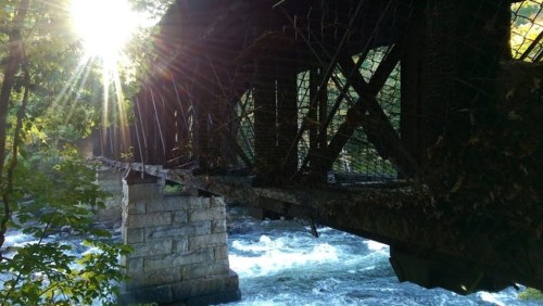 A sunlit bridge spans a rushing river, surrounded by lush greenery and dappled light filtering through the trees.