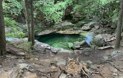 A serene natural pool surrounded by rocks and trees, with clear green water reflecting the lush forest.