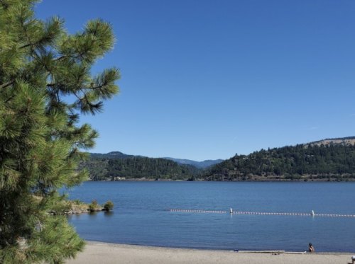 A serene lake surrounded by green hills and trees under a clear blue sky, with a sandy beach in the foreground.
