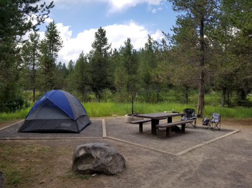 A campsite featuring a blue tent, picnic table, and two chairs surrounded by trees and grassy areas.