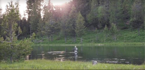 A person fishing in a serene lake surrounded by trees at sunset.