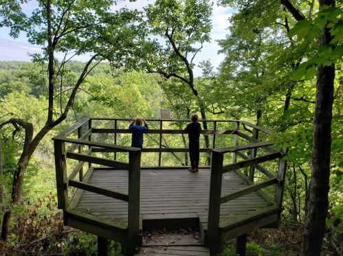 Two children stand on a wooden observation deck surrounded by lush green trees, looking out over a scenic view.
