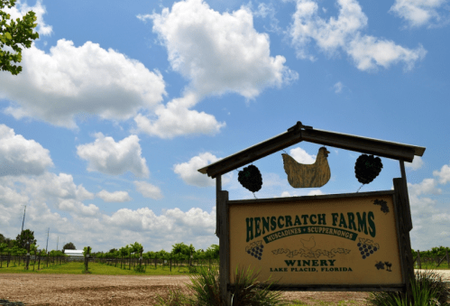 Sign for Henscratch Farms Winery in Lake Placid, Florida, with a blue sky and clouds in the background.