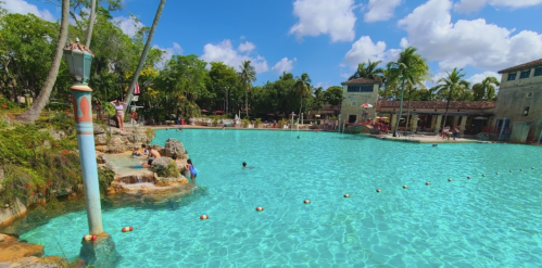 A vibrant pool surrounded by palm trees, with people swimming and relaxing in a sunny tropical setting.