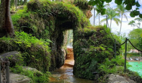 A lush, green rock formation with a waterfall, leading to a pool area surrounded by palm trees.