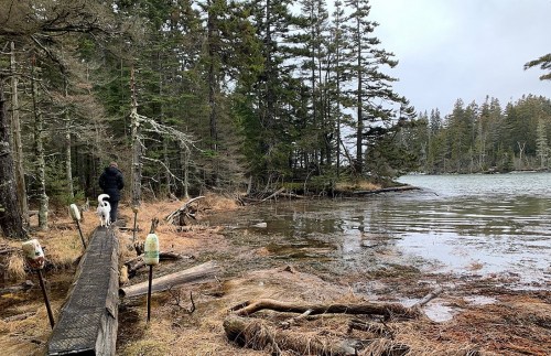 A person walks a dog along a wooden path by a calm lake, surrounded by trees and a cloudy sky.