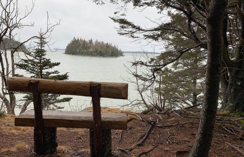 A wooden bench overlooks a calm bay with an island in the distance, surrounded by trees on a cloudy day.