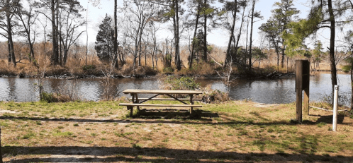 A picnic table by a calm river, surrounded by trees and a peaceful natural landscape.