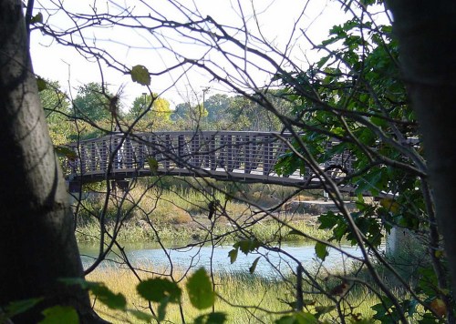 A wooden bridge spans a river, framed by trees and foliage in a serene natural setting.