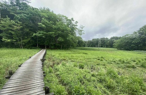 A wooden boardwalk leads through lush green grass and trees under a cloudy sky.
