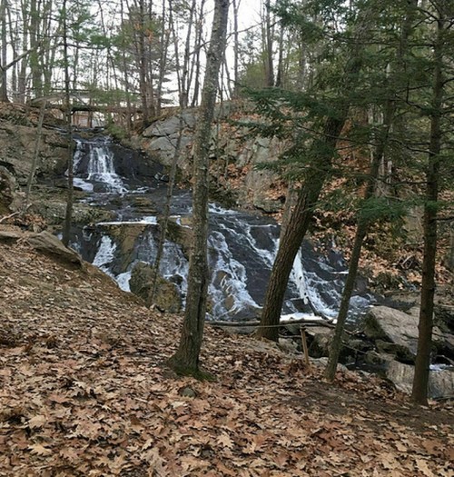 A serene waterfall cascades over rocks, surrounded by trees and fallen leaves in a tranquil forest setting.