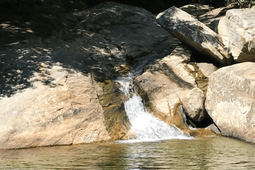 A small waterfall cascading over rocks into a calm pool of water surrounded by greenery.