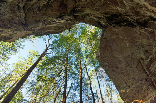 View from inside a cave looking up at tall trees and blue sky through a rocky archway.