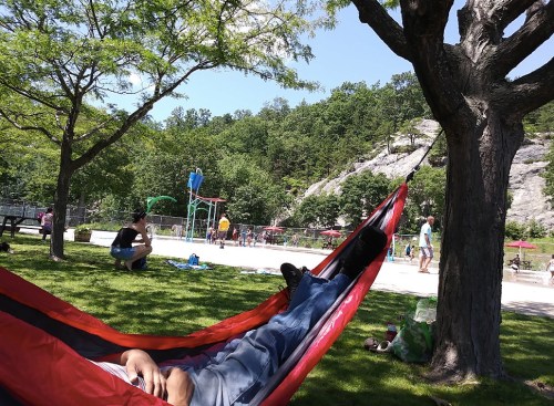 A person relaxes in a hammock under a tree, with a playground and people in the background on a sunny day.