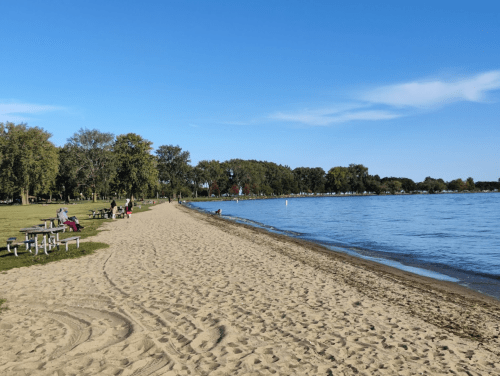 A sandy beach with picnic tables, trees, and calm water under a clear blue sky. People enjoy the outdoors.