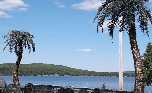 Two palm-like trees frame a serene lake view under a blue sky with scattered clouds and green hills in the background.