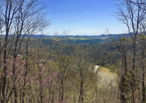 A scenic view of rolling hills and a river, framed by bare trees and hints of spring blooms under a clear blue sky.