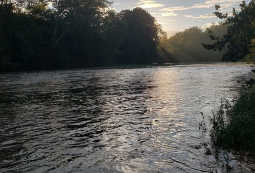 A serene river scene at dawn, with soft light filtering through trees and gentle ripples on the water's surface.