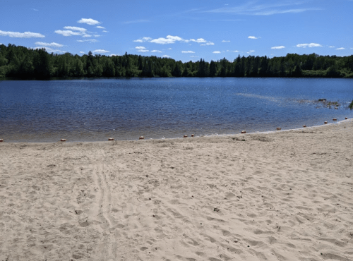 A sandy beach by a calm lake surrounded by green trees and blue skies with a few clouds.