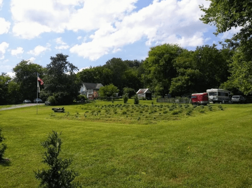 A grassy area with a circular garden, an American flag, and a few buildings and vehicles in the background under a blue sky.