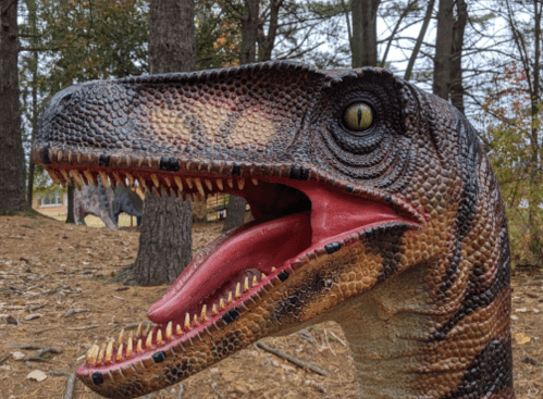 A close-up of a dinosaur sculpture's head, featuring detailed textures and an open mouth, set among trees and fallen leaves.