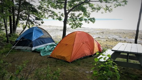 Two tents, one blue and black and the other orange, set up near a beach with trees and a picnic table in the foreground.