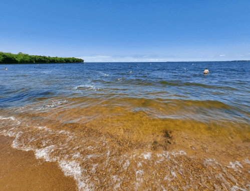 A serene beach scene with clear water, gentle waves, and a blue sky, surrounded by greenery in the distance.
