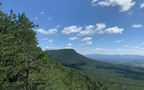 A scenic view of a mountain peak surrounded by lush green trees and a blue sky with fluffy white clouds.