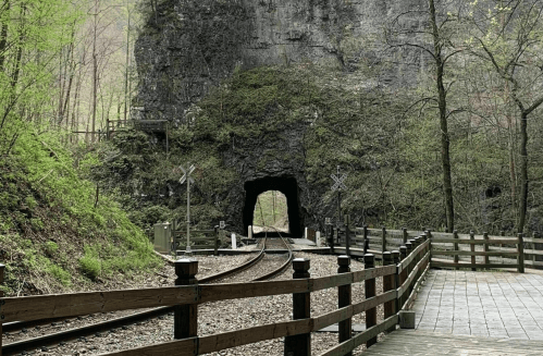 A train tunnel carved into a rocky cliff, surrounded by greenery and a wooden walkway beside the railway tracks.