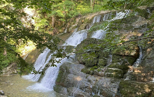 A serene waterfall cascading over moss-covered rocks, surrounded by lush green foliage.