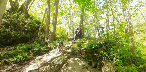A group of people hiking on a rocky trail surrounded by lush green trees and sunlight filtering through the leaves.