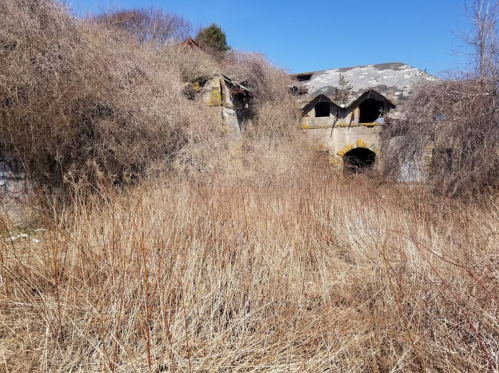 Abandoned building partially covered in overgrown grass and shrubs under a clear blue sky.