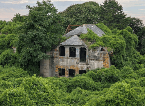 Abandoned building overgrown with dense green vegetation and trees, surrounded by lush foliage.