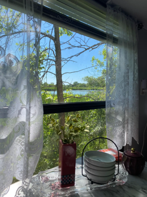 A bright view through a lace curtain, showcasing trees and a lake under a clear blue sky, with a potted plant and dishes nearby.
