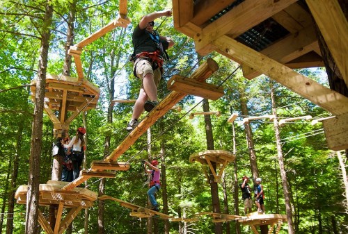 A group of people navigating a treetop obstacle course in a forest, using harnesses and wooden platforms.