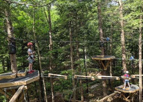 Two children in helmets navigate a treetop adventure course among tall trees, standing on wooden platforms.
